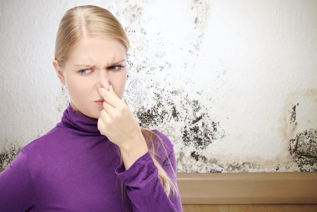 columbia plumber, columbia air conditioner, columbia hvac, how to get rid of that mushy smell