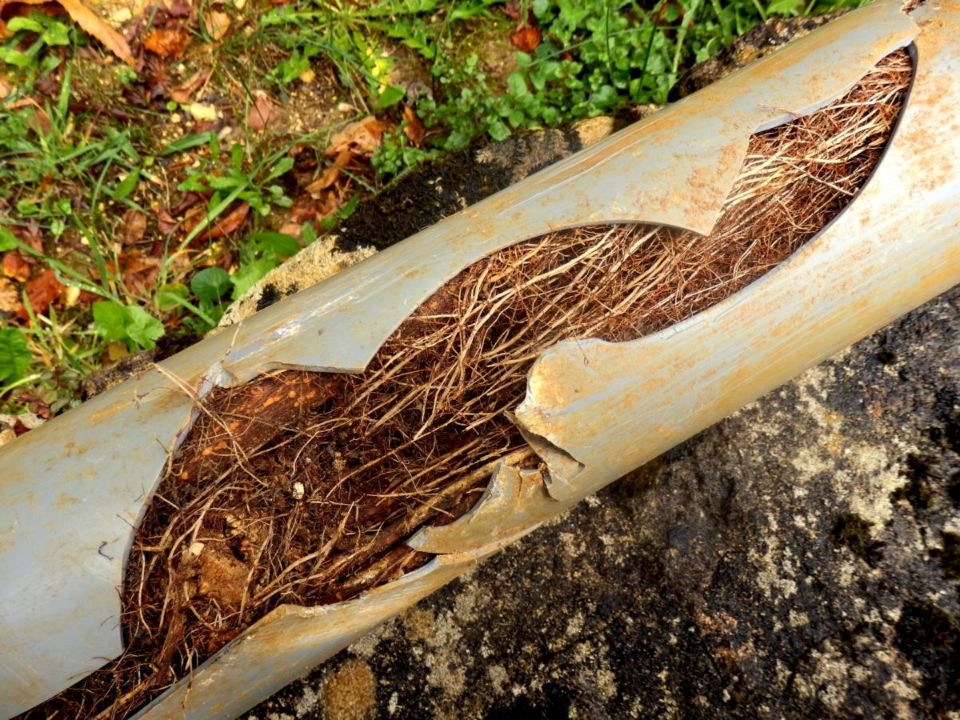 Plumbing Columbia, HVAC Columbia, AC Repair and Maintenance Columbia, Heating & Cooling Services Columbia